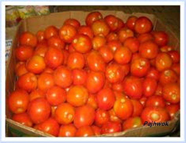 Tomato prices jump to record high in Kabul