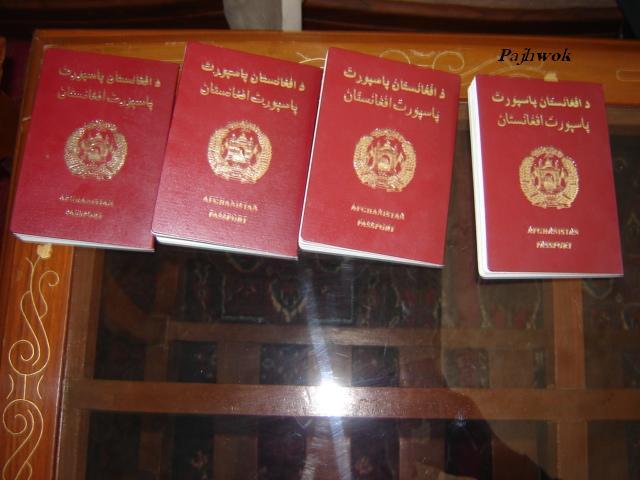 Photo: مدير پاسپورت هرات به اتهام اخذ رشوه بازداشت شد