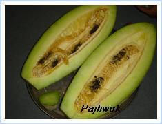 کمپاین مبارزه با مگس خربوزه در سمنگان آغاز شد