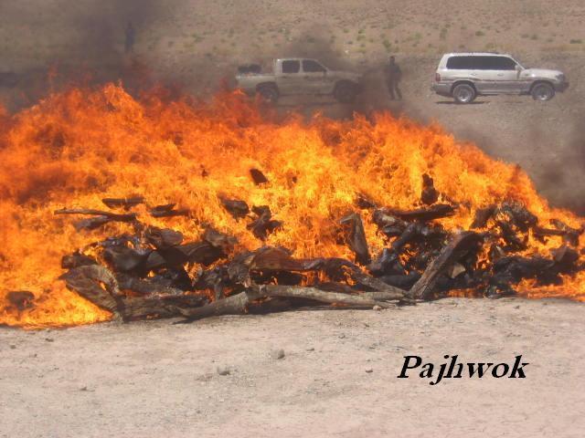 Photo: صدهاکيلوگرام مواد مخدر به آتش کشيده شد