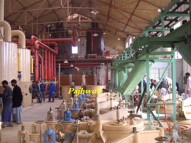Production of sugar surges in Baghlan