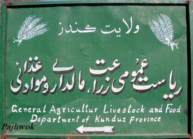 Kunduz farmers concerned at grasshopper threat