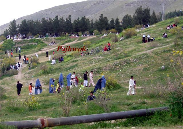 فرهنگ ميله و تفريح در ولايات جنوب رونق يافته است