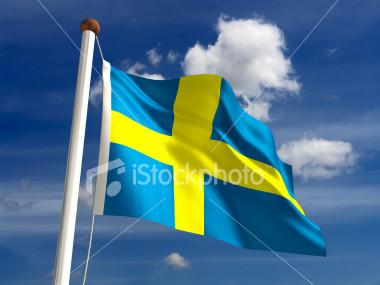 سویدن برادامۀ همکاریهایش بعد از ٢٠١٤ تاکید کرد