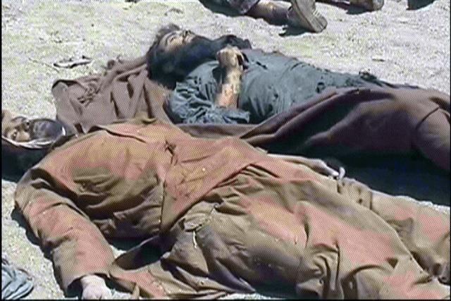 7 Taliban killed by own explosives in Faryab