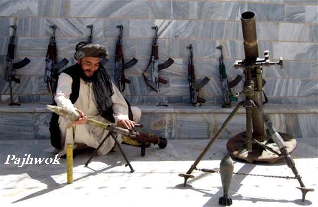 افراد يک عضو شوراى ولايتى، گروپى از پوليس محلى را خلع سلاح نمودند