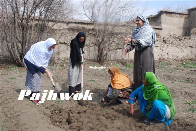 Photo: در زندگى زنان زراعت پيشه ولايت پروان تغييرات وارد شده است
