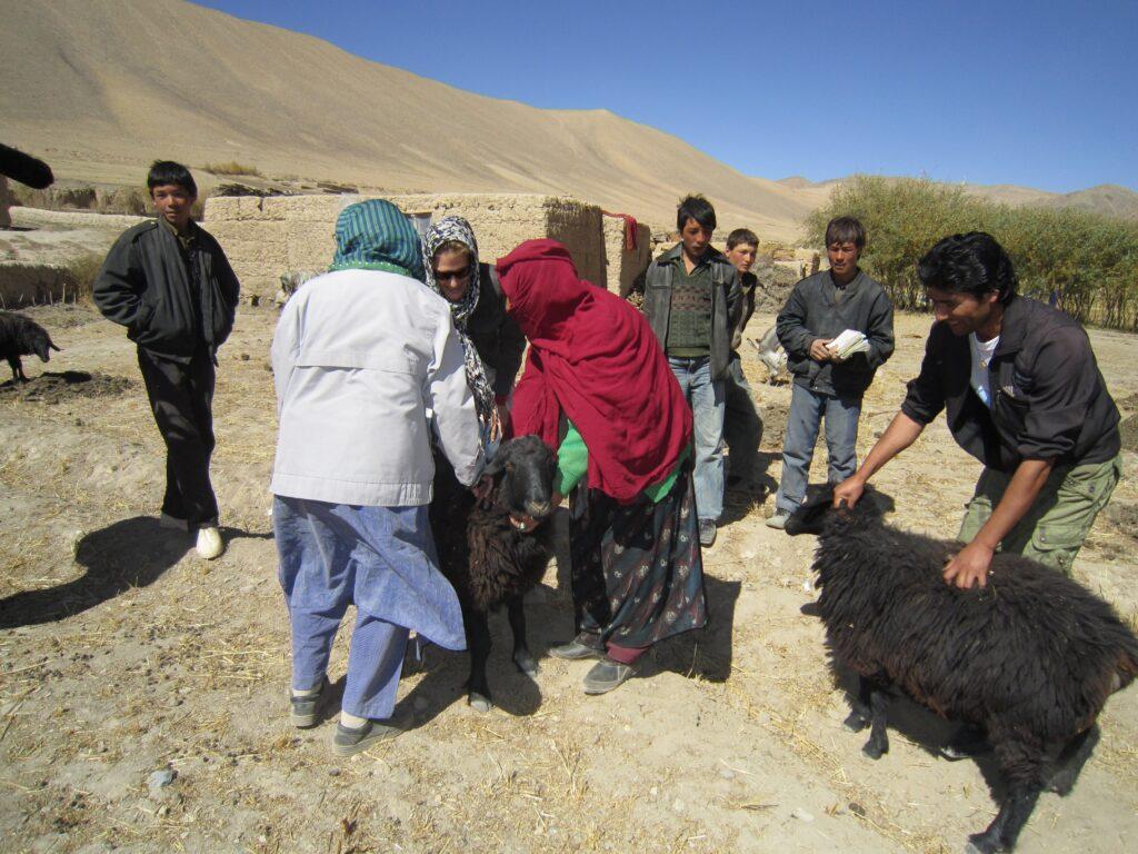 Gunmen extort locals’ livestock in Kunduz