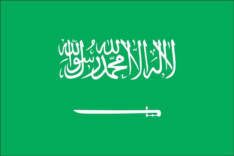 Saudi Arabia takes 1st step towards joining SCO