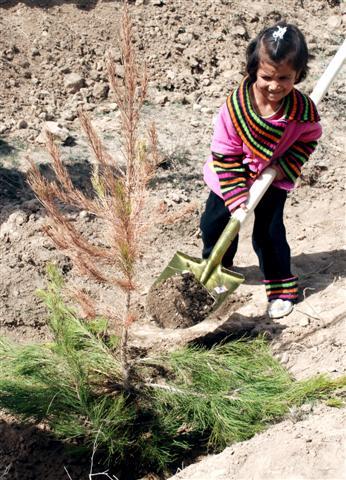Drive to plant 2m saplings in Badakhshan kicks off