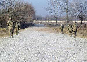 ISAF loses another soldier in south