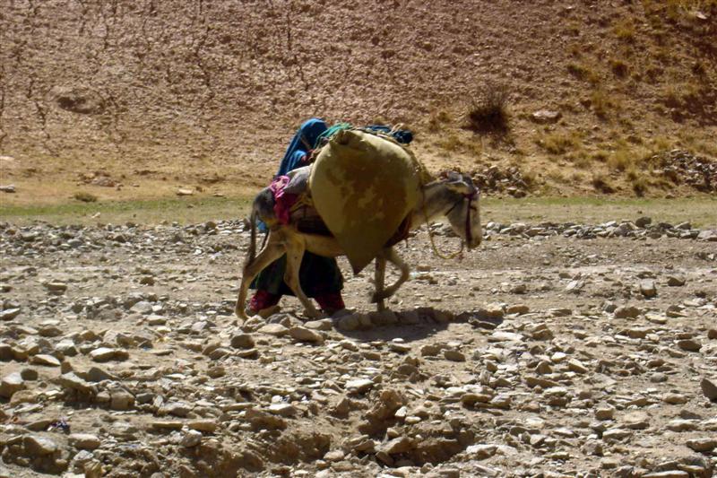 Poverty pushes Bamyan women into hard labour