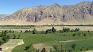 District spy chief, three policemen killed in Uruzgan