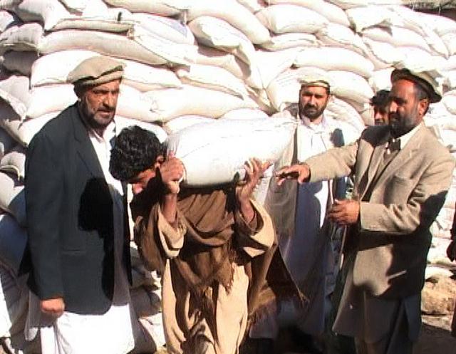 Wheat distributed to 4,000 Jawzjan families