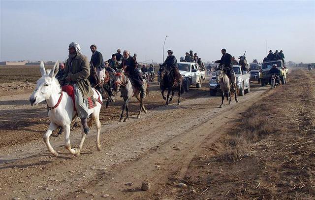 donkey race in  Balkh