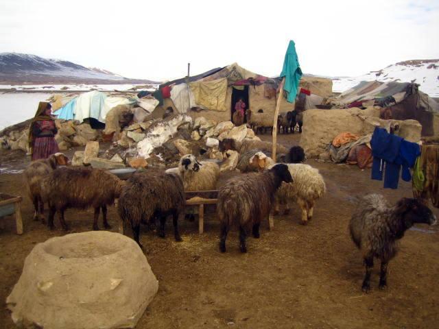 Nomad in Ghazni
