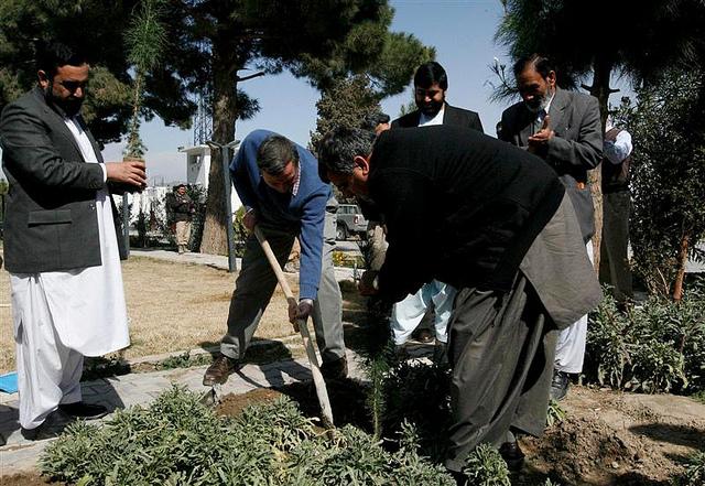 US Ambassador to Afghanistan Plants Sapling