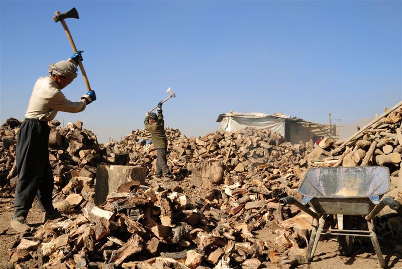 Firewood price shoots up in Paktia