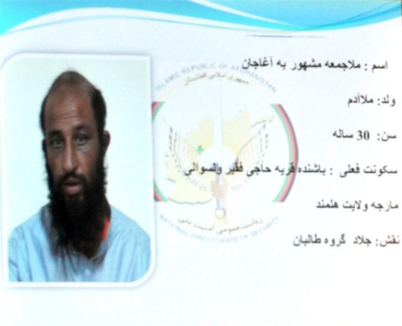 Taliban executioner arrested: Mashal