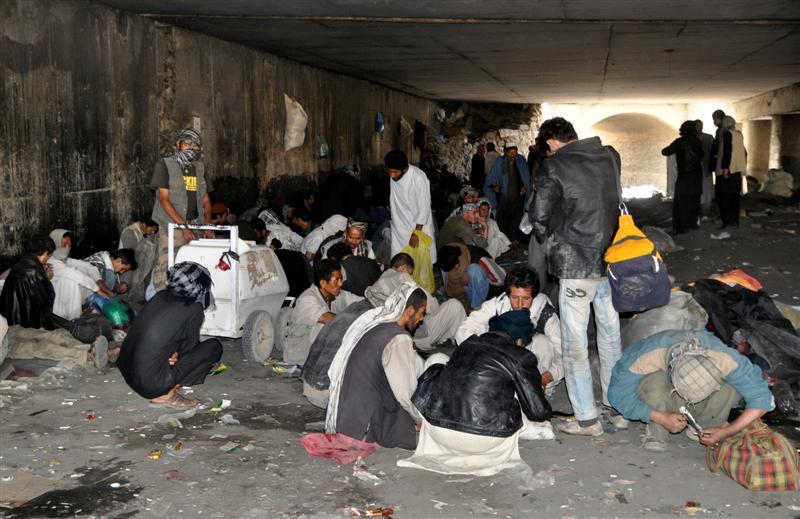 Worrying rising drug users in Faryab