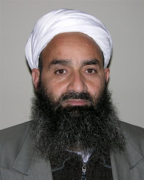 حنفى: کميسيون نظارت بر قانون اساسى محکمۀ اختصاصى راغير قانون خواند