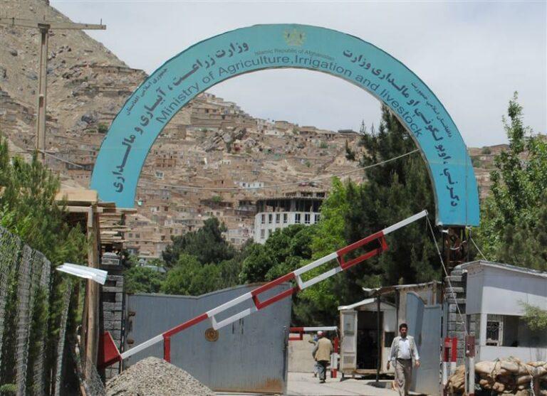 د کرنې وزير خپل خپلوان د دولتي اپارتمانونو لپاره مستحق بللي