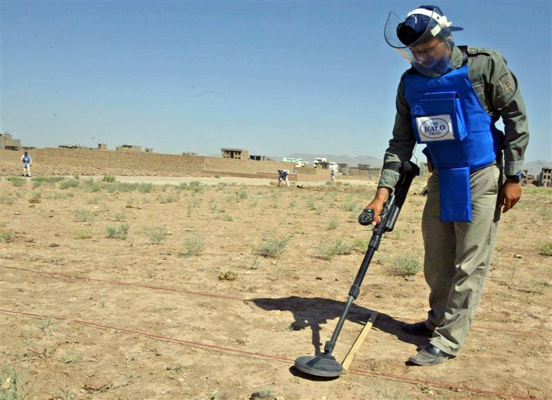 6 deminers killed in Herat attack