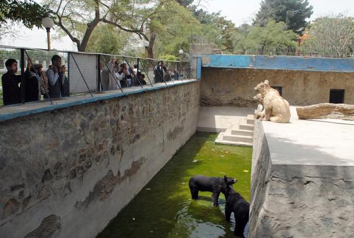 بيش از ٢٠ هزار تن در روزهاى عيد از باغ وحش کابل ديدن کرده اند