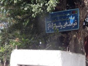 يک داکتر درننگرهار کشته شد و خانمش جراحت برداشت