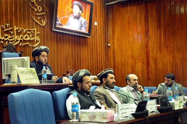 NDS and Foreign Ministry deputies barred from Senate