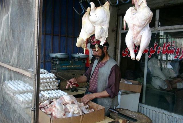 Taliban ban sale of frozen chickens in Ghazni