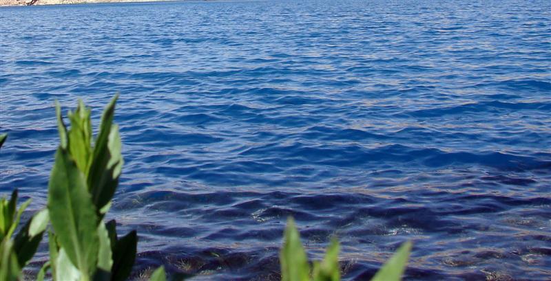 سه تن در اثر سقوط موتر به دريا تلف شد