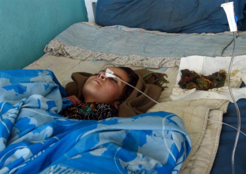 لغمان کې د باښو نسل د ورکېدو په حال کې دى