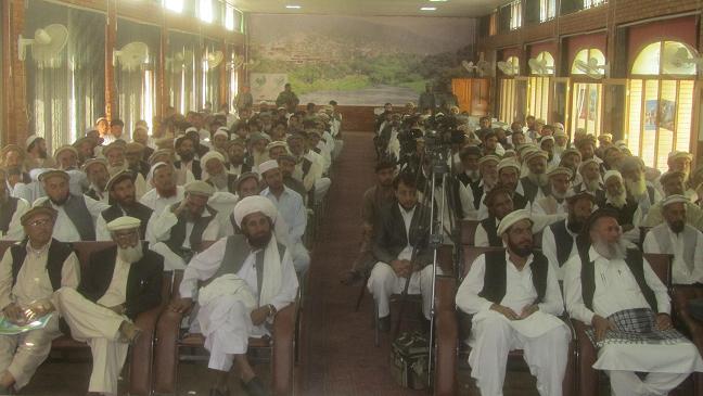 وحيدي : نړيواله مافيا د کوکنارو په کښت کې دخيله ده