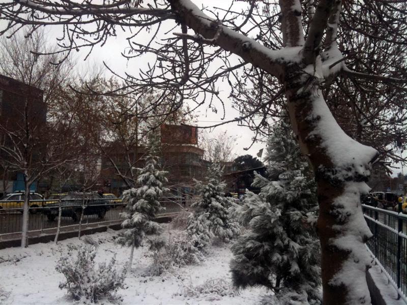 د شمالي ولايتونو کروندګر تازه اورښتونه د وچکالۍ د ختمېدو زېرى بولي