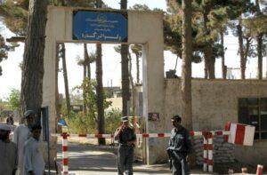 2 killed by own explosives in Herat