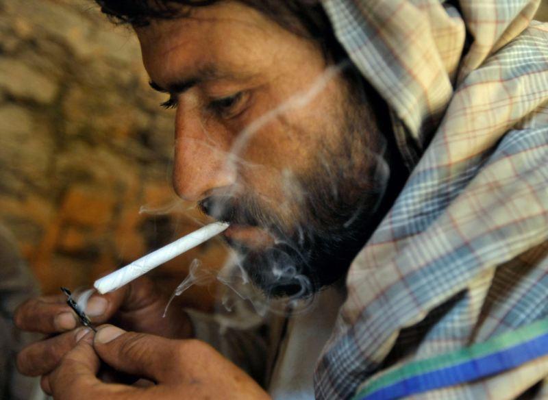 د بلخ ځوانان د بې کارۍ له امله د نشه يي توکو کارولو ته مخه کوي