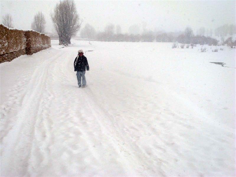 Cold weather claims 21 lives in north