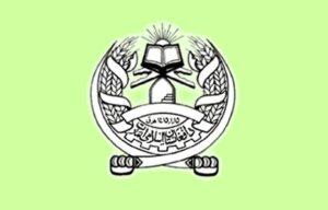 وسله والو طالبانو روسى پيلوټ خوشې کړ