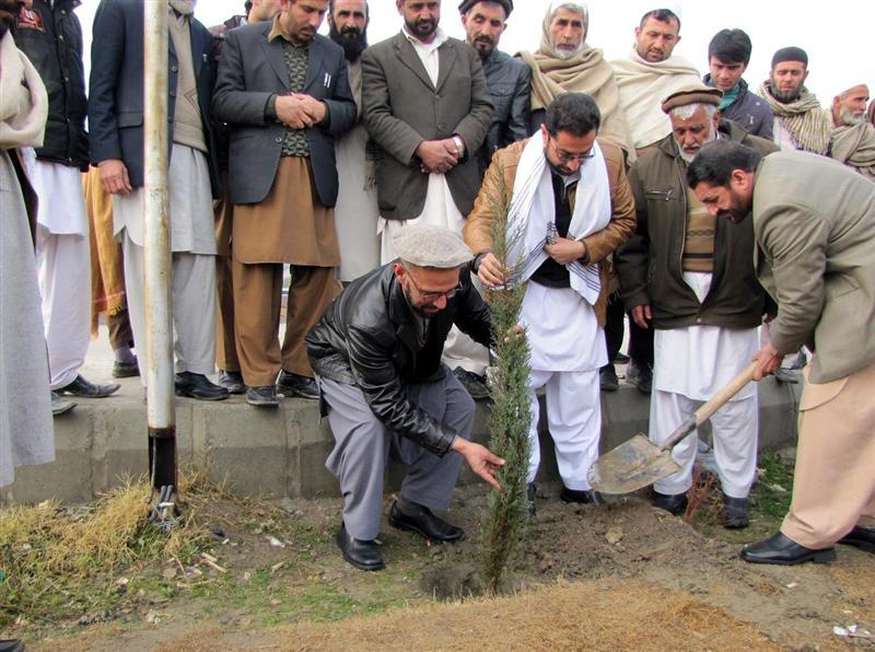 Spring tree plantation drive launched in Nangarhar