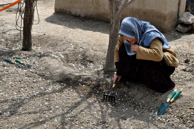 Afghanistan’s enterprising women farmers