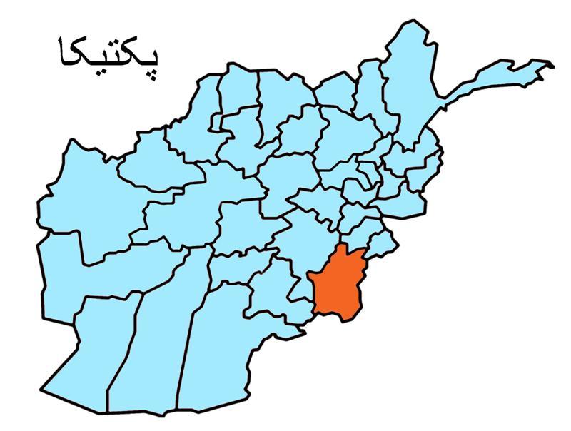 Paktika teenager detained with pistol, hand-grenades