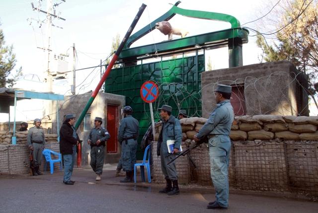 A dozen suspects held in Herat operation