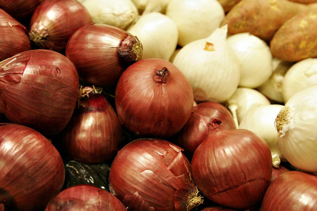 Onion prices sharply increased in Nimroz