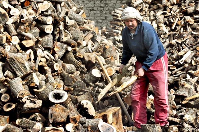 Firewood prices down more than 7pc in Kabul
