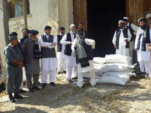 Wheat seed being distributed to farmers