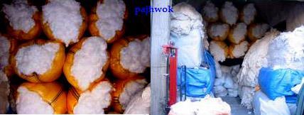 د بلخ کروندګرو د پنبې نه کرولو ګواښ وکړ