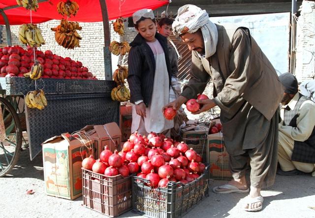 Kandahar’s pomegranate exports set to rise by 34pc