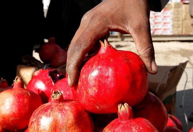 Kandahar exports pomegranates worth $10m