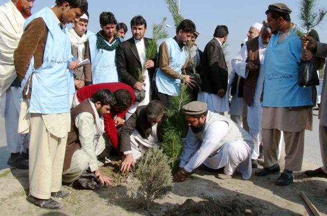 په جلال اباد کې د نيالګيو اېښودو کمپاين پيل شو